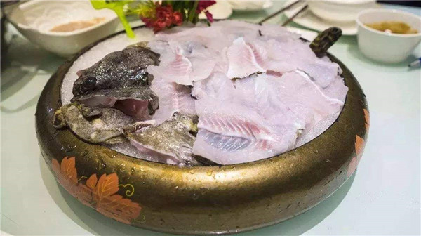 石斑鱼火锅加盟店