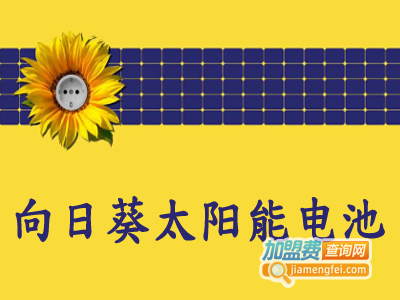向日葵太阳能电池加盟费