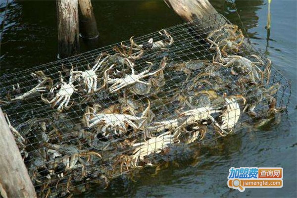 二力河蟹养殖加盟加盟费