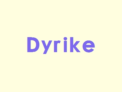 Dyrike代理