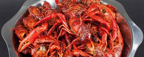 豪虾传加盟需要多少钱? 豪虾传加盟需要多少钱?