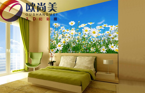 欧尚美3D炫彩膜加盟
