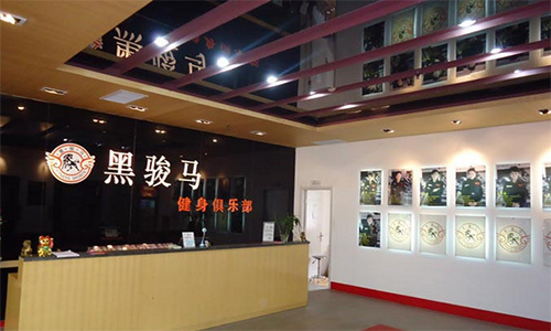 黑骏马健身俱乐部加盟店