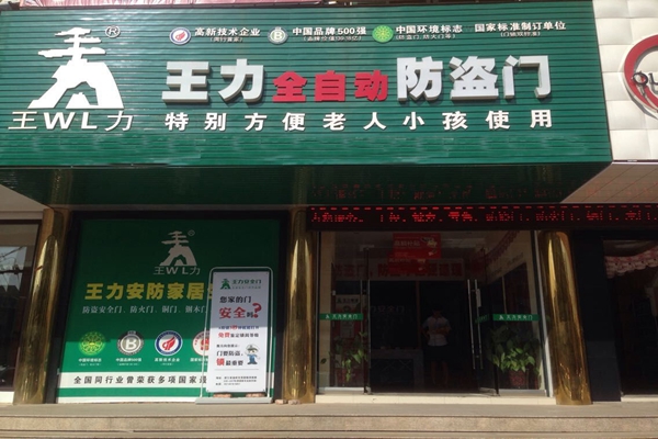 王力防盗门加盟店