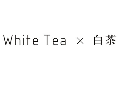 白茶女装加盟