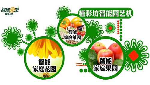 植彩坊加盟