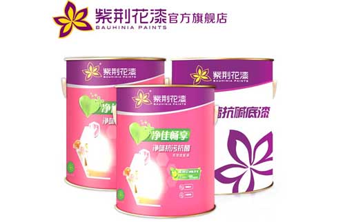 紫荆花漆加盟