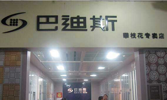 巴迪斯加盟