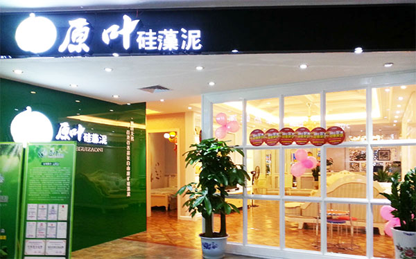 原叶硅藻泥店