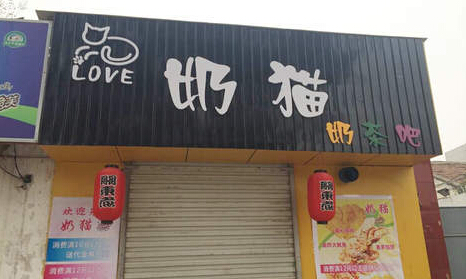 奶猫奶茶加盟店