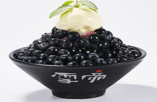 雪帝雪冰加盟