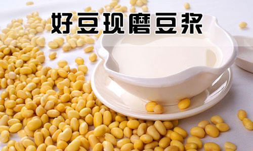 豆逗现磨豆浆加盟