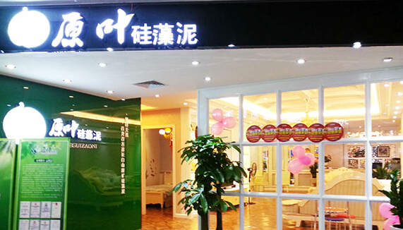 原叶硅藻泥加盟店
