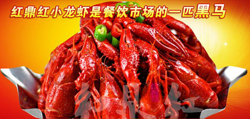 红鼎红小龙虾加盟