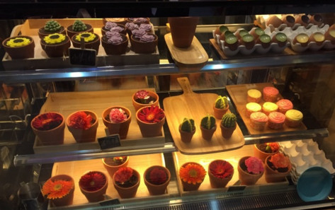 56度花盆蛋糕加盟店
