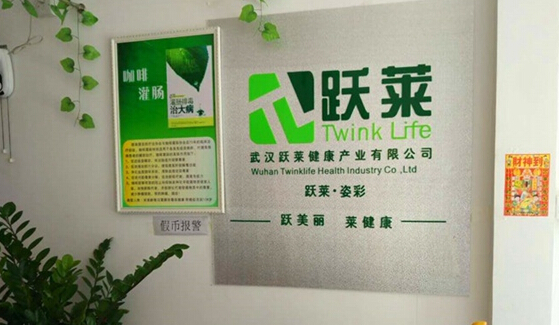 跃莱加盟