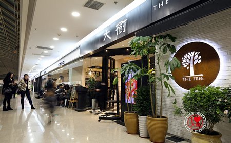 大树餐厅加盟