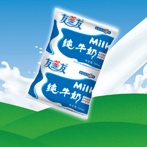 友芝友加盟