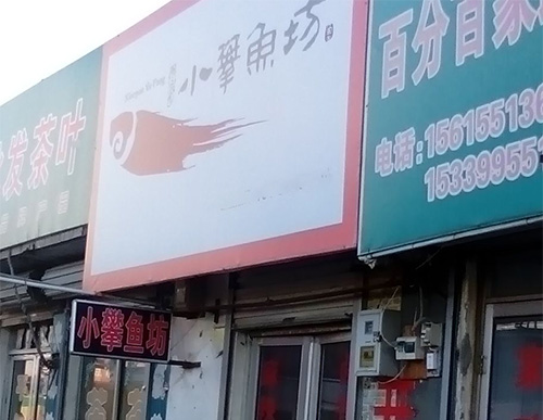 小翠鱼坊