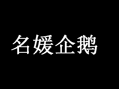 名媛企鹅内衣加盟费