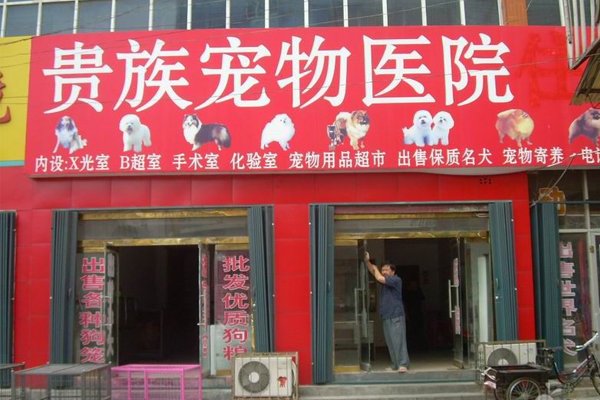 贵族宠物医院加盟店