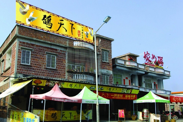 鸽天下加盟店
