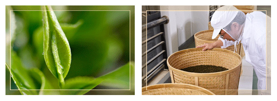 【华祥苑茗茶加盟】含华祥苑茗茶加盟各方方面面！