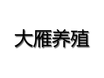 大雁养殖加盟费