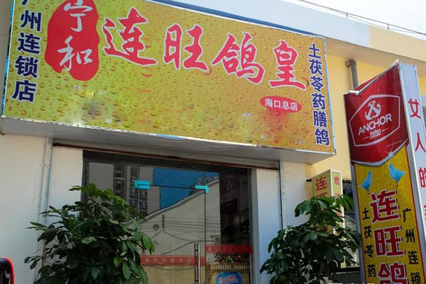 连旺鸽皇加盟