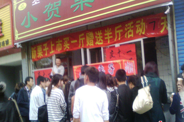 小贺栗子加盟