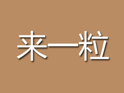 来一粒加盟费