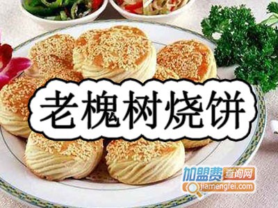 老槐树烧饼加盟费