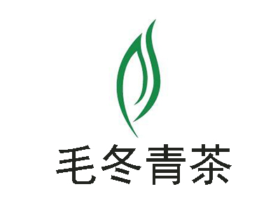 毛冬青茶加盟