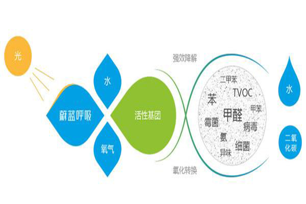 蔚蓝呼吸除甲醛加盟