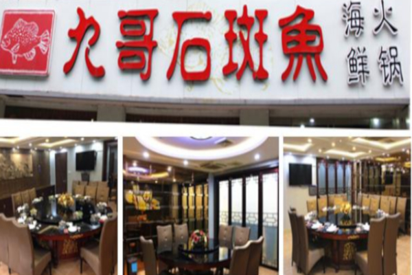九哥石斑鱼海鲜火锅加盟费详情，查看九哥石斑鱼海鲜火锅加盟费详情详情！