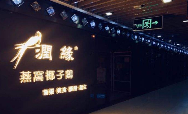 润缘燕窝椰子鸡