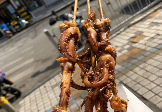 翻滚吧大鱿鱼
