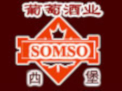 西堡somso加盟