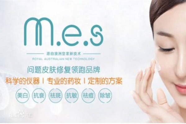 MES皮肤管理