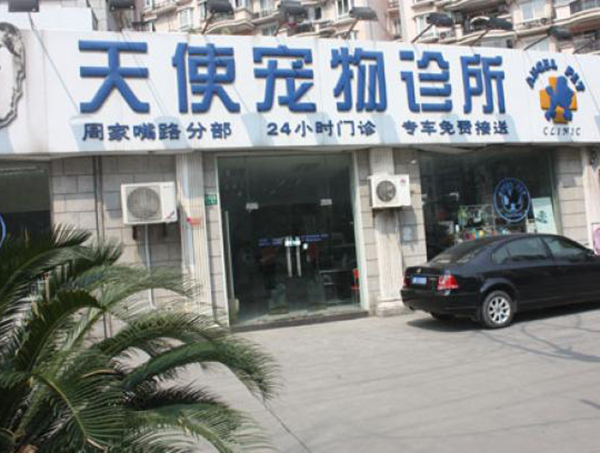 宠物诊所加盟门店