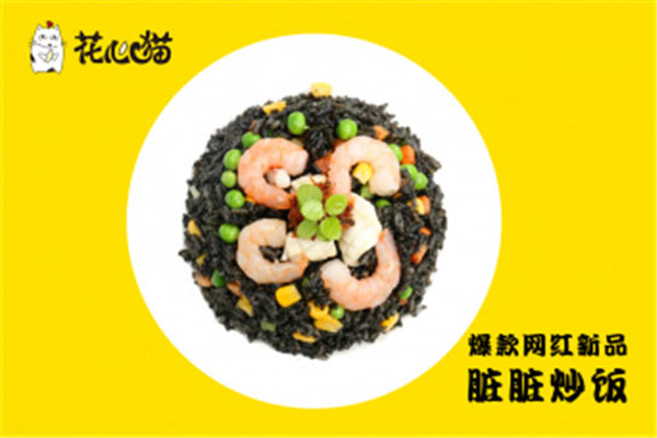 花心猫炒饭