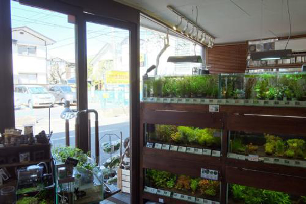水草店加盟费