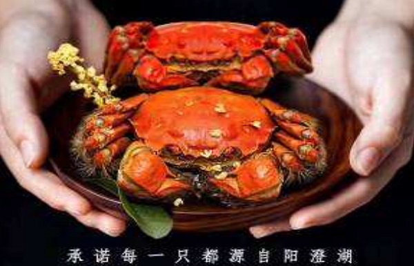 蟹小姐