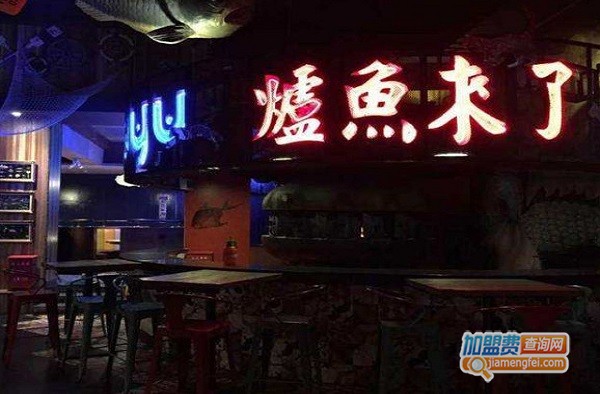 炉鱼来了