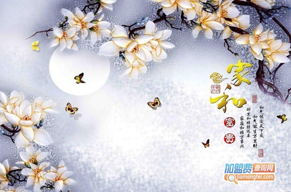 冰晶画设备加盟费