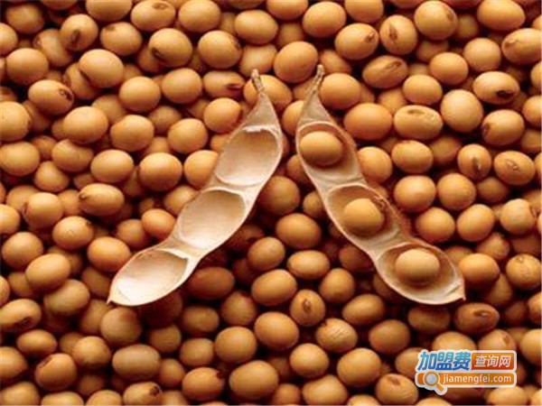 友春豆业加盟店