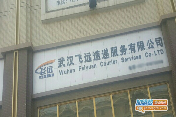 飞远速递加盟门店