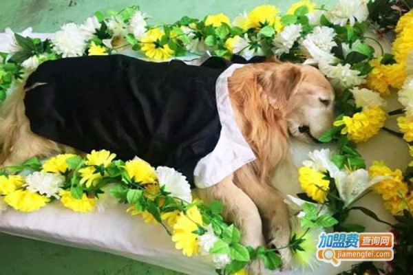 宠物殡葬服务加盟