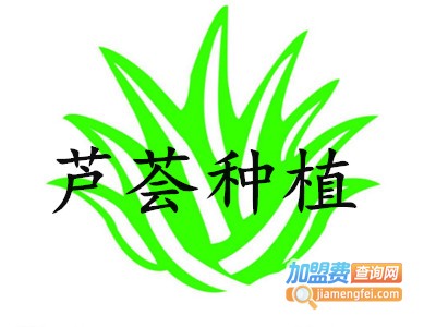 芦荟种植加盟费