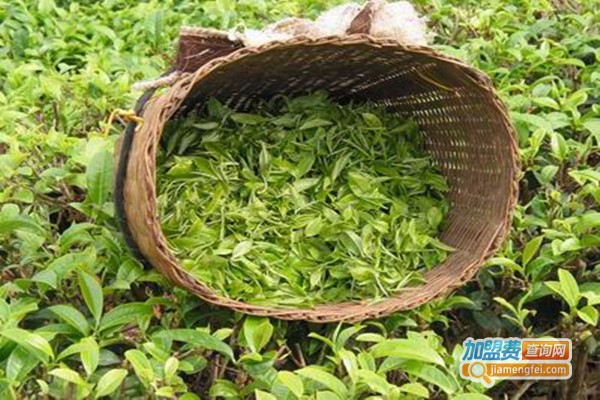 茶叶品牌加盟